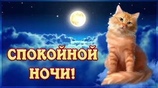 🌛 Спокойной ночи и Сладких Снов! Красивые пожелания с милым голосом!