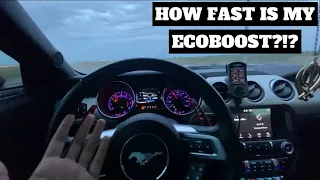 0-60 MPH On Big Turbo Mustang Ecoboost 400+whp