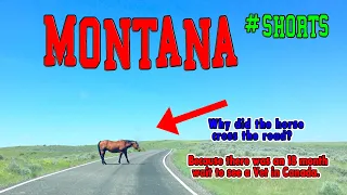 Montana Explained in 60 Seconds #Shorts