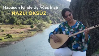 NAZLI ÖKSÜZ - Mapusun İçinde Üç Ağaç İncir (Oy Zulum) | Akustik