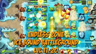 Plants vs Zombies 2 - Frostbite Caves | Endless Zone All Max Level Plants Test Level 11 - 20