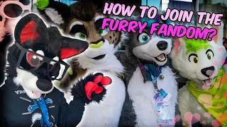 How to Join The Furry Fandom