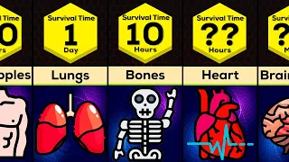 Comparison: How Long Would You Survive Without Your Organs