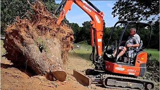 Mini Excavator vs Massive Stumps - Kubota U35