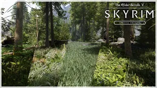 Skyrim's Best Grass Mods | 2023 Comparison