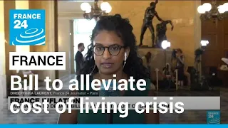 French lawmakers to debate bill to alleviate cost of living crisis • FRANCE 24 English