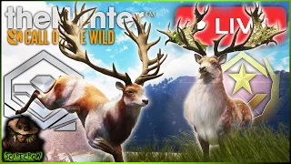 Have We Perfected Herd Management? Diamond Red Deer Every 10 kills! Call of the wild LIVE 🔴🔴