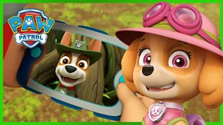 Die Welpen retten die PawPaws - PAW Patrol Germany - Cartoons für Kinder