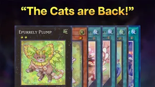THE CATS ARE BACK - LOCAL LEGENDS WITH ONE OF MY FAVORITE DECKS