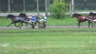 Приз Большой 2 гит Новосибирский, 2 июля