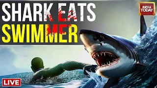 Watch Live: Shark Eats Russian Tourist In Front Of His Father At Egyptian Beach | Viral Video LIVE