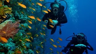 Scuba Diving Sharm El Sheikh 2015