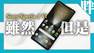 Sony Xperia 1 VI開箱動手玩：幾乎都做對了，除了一件事｜對比Xperia 1 V｜安兔兔跑分｜相機簡單實拍｜劉胖胖