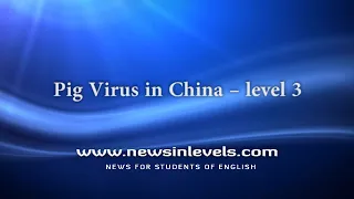 Pig Virus in China – level 3