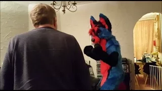 How not to come out as a furry