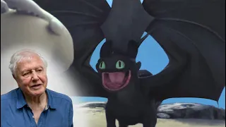 David Attenborough Narrates Toothless' Dance