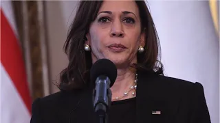 Kamala Harris slammed for 'awkwardly' laughing during press conference in Poland