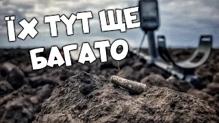 Їх тут ще багато. Монета за монетою. Копаємо імперські і середньовічні монети. Коп з MINELAB EQUINOX