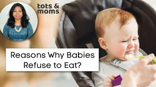 Reasons why Babies Refuse to Eat?
