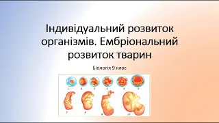 Біологія 9 клас. Етапи індивідуального розвитку організмів. Ембріональний розвиток тварин та рослин