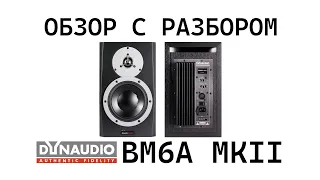 Обзор с разбором - Dynaudio BM6A MKII