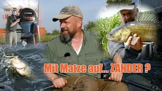 Matze Koch: Die Zanderscheuche schlägt zurück! - Matzes Mätzchen 06-2021