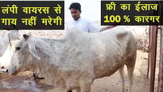 बिना दवाई गाय लंपी से ठीक हो रही है इस गौशाला में || Technical Farming