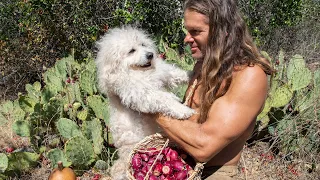 Primitive Harvest of Wild Cactus Fruit with Rufo