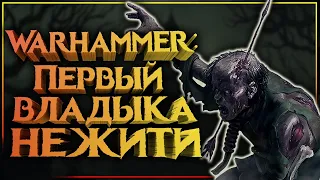 Warhammer: Первый владыка нежити. Кто приручил нежить Сильвании? Война Сильвании и Скавенов