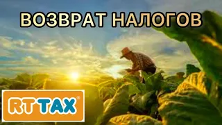 КАК Я ВЕРНУЛ НАЛОГИ РАБОТАЯ НА ФЕРМЕ