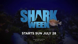 So Good You'll Scream | Shark Week 2019