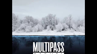 MULTIPASS - ЗАБЫТЬ (FULL ALBUM, LP, 2016, POST-ROCK, ALTERNATIVE ROCK, MODERN ROCK, RUSSIAN ROCK)