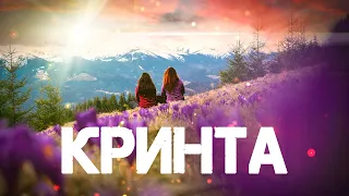 Полонина КРИНТА 💥 Крокус і Шафран 🌷 ГУЦУЛЬСЬКЕ ПОВСТАННЯ