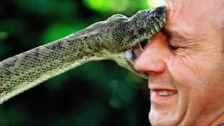 Top 10 Deadly Snakes You Should Avoid