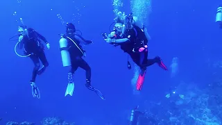 Scuba Diving in Cozumel February 2024