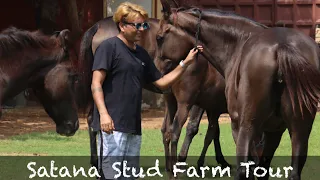 SATANA STUD FARM TOUR RAJASTHAN INDIA❤️MARWARI HORSE FARM TOUR❤️