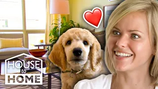 Finding the PERFECT Pet-Friendly Home for Yogi! 🐩 🐾  | For Rent | FULL EPISODE | House to Home