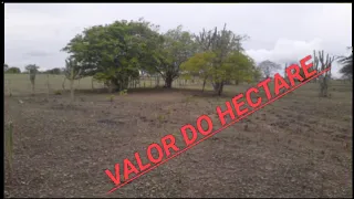 VALOR DE 1 HECTARE DE TERRA NA MINHA REGIÃO? PREÇO DA TERRA