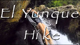 Best El Yunque Rainforest Hike #hike