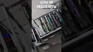 ЦЕНЫ НА ВИДЕОКАРТЫ НИКОГДА НЕ УПАДУТ!