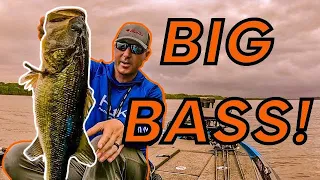 GIANT BASS on this RIVER!