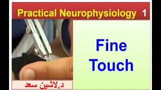 Neurophysiology/Practical/Section 1/Fine touch//lASHIN  د.لاشين