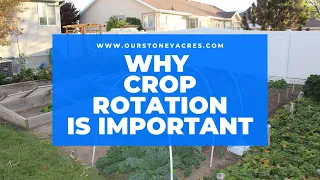 Why Garden Crop Rotation is Important [Part 1]