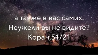 САМЫЙ КРАСИВЫЙ АЗАН В МИРЕ КОРАН Истина