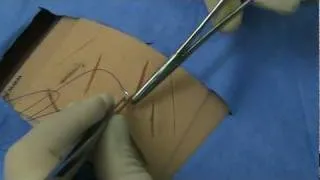 Simple Interrupted Suturing Technique [Tulane Medicine]