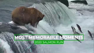 The Massive 2020 Salmon Run | Memorable Moments In Bear Cam History