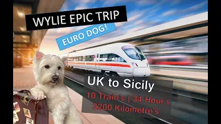 UK TO SICILY BY TRAIN WITH A DOG : 3,200 KM, 10 TRAINS, 34 HOURS