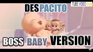 Despacito - The Boss Baby || By ( Tube Video Maker )