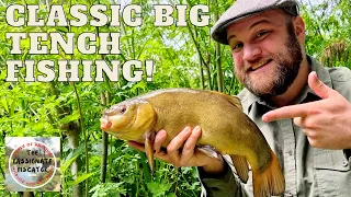 Green Tench and Ham - Lift Method Tench Fishing