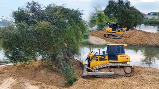 Bulldozer SHANTUI Push Soil In The Water Deep With Clearing land And Push Tree With DumpTruck 12Whee